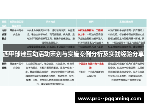 西甲球迷互动活动策划与实施案例分析及实践经验分享