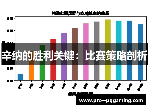 辛纳的胜利关键：比赛策略剖析