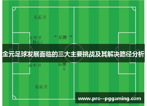 金元足球发展面临的三大主要挑战及其解决路径分析