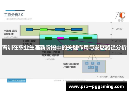 青训在职业生涯新阶段中的关键作用与发展路径分析