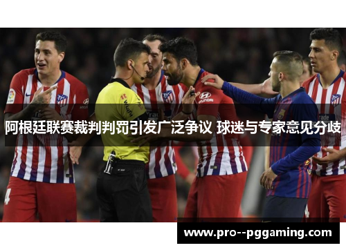 阿根廷联赛裁判判罚引发广泛争议 球迷与专家意见分歧