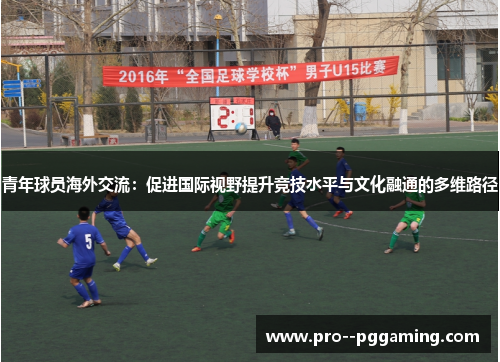 青年球员海外交流：促进国际视野提升竞技水平与文化融通的多维路径